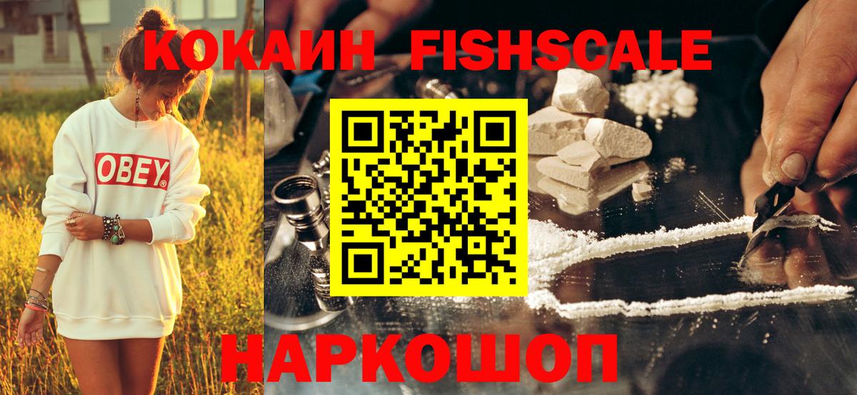 Cocaine Fish Scale  купить наркоту  Оренбург  КОКАИН Эквадор  Вход с VPN  Cocaine 