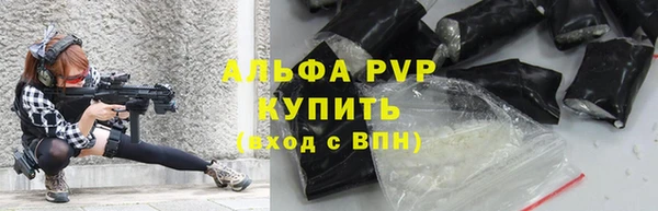 прущие грибы Кулебаки
