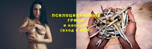 прущие грибы Кулебаки