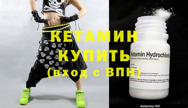 прущие грибы Кулебаки