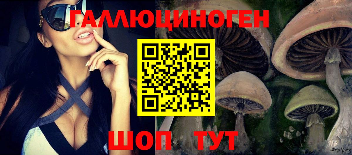 Псилоцибиновые грибы Psilocybine cubensis  Вход с VPN  где купить наркоту  Оренбург 